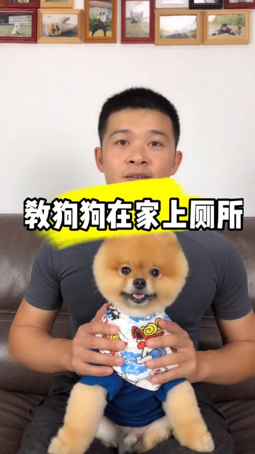 解决方案 第15页